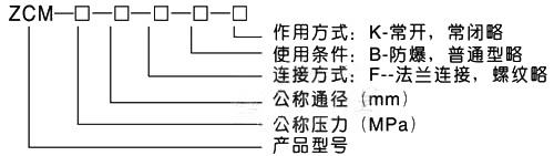 ZCM煤气电磁阀 - 上海奇高阀门制造有限公司